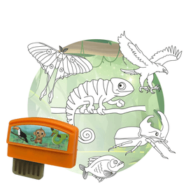 Jungle Animals Creativity Pack | 2.0